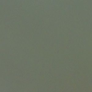 Meet your Posher, Cory